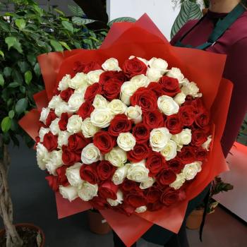Букет Букет из 101 розы (красные и белые розы) (код: 131593)