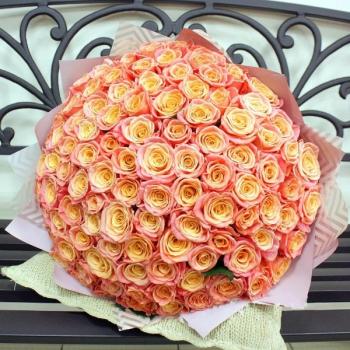 Букет Оранжевые розы Эквадор 101 шт (50 см) [артикул: 229922s]