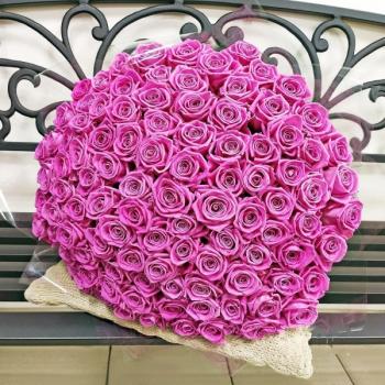 Розовые розы Эквадор 101 шт (50 см) (код товара - 229768sam)